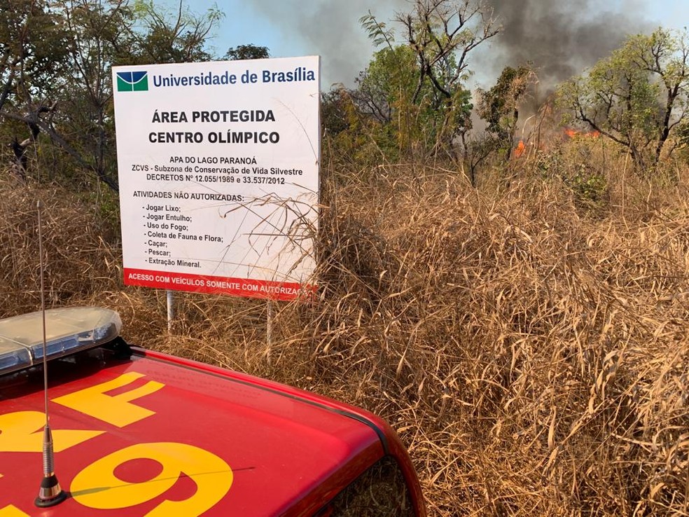 Incêndio florestal próximo ao Centro Olímpico da UnB — Foto: Corpo de Bombeiros/Divulgação