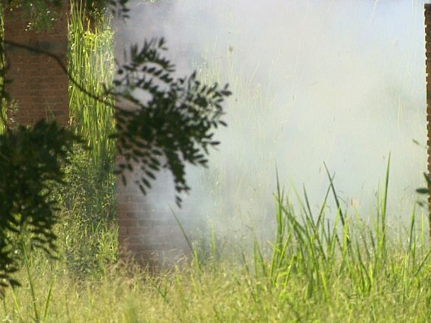 Gate foi chamado para detonar explosivo deixado em caixa eletrônico (Foto: Paulo Souza/EPTV)