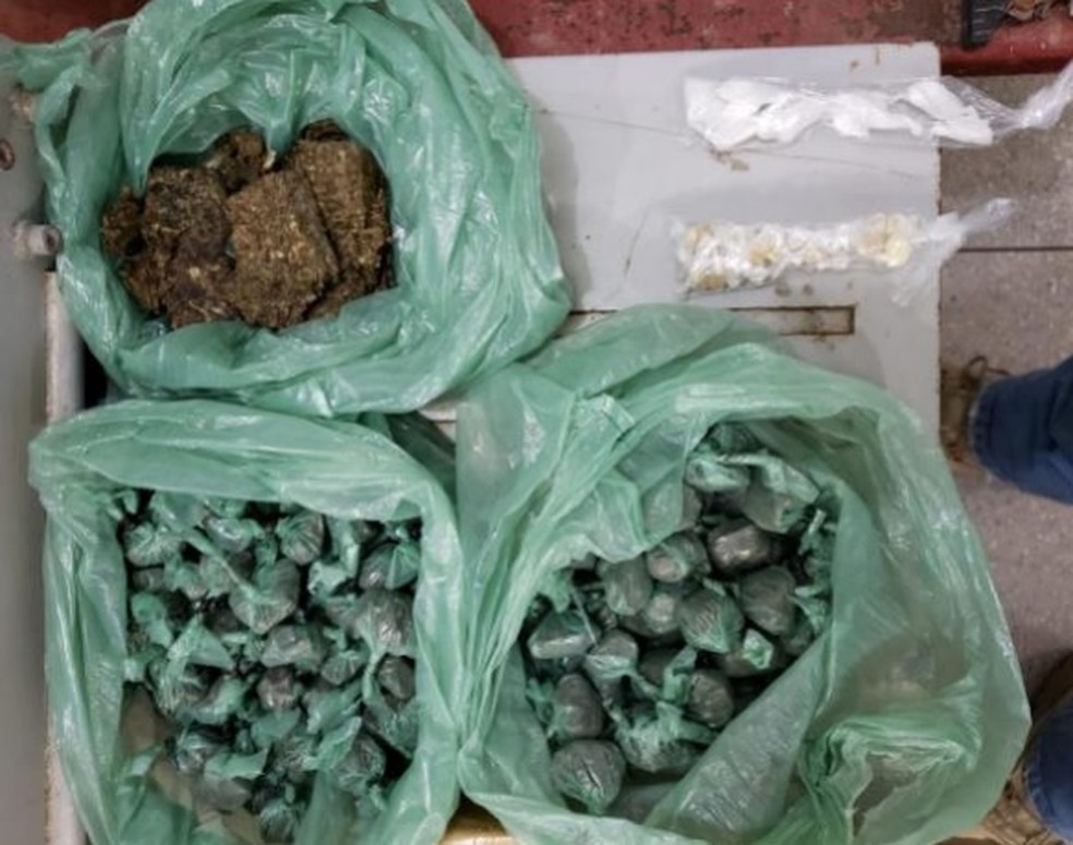 Drogas como maconha e crack foram apreendidas durante operação policial no Grande Recife — Foto: Polícia Civil/Divulgação