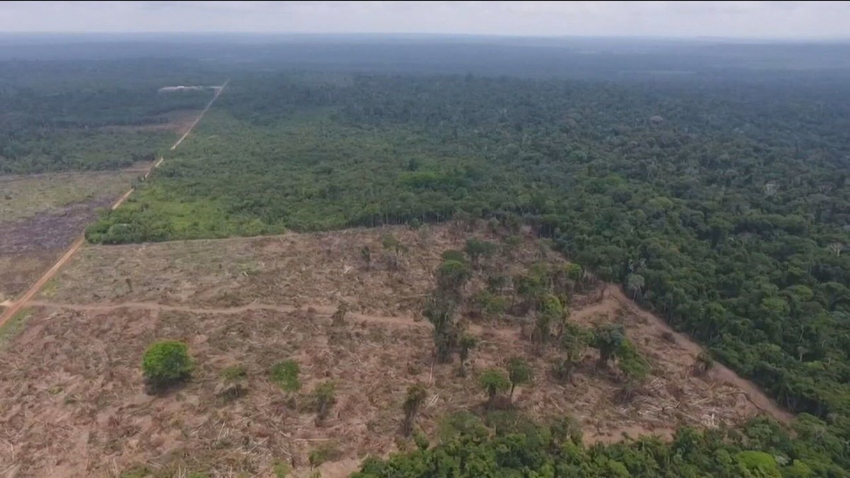 Governo autoriza operação militar para combater crimes ambientais na Amazônia thumbnail
