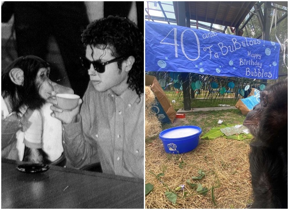 Bubbles e Michael Jackson no Japão em 1987