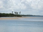 Ilha de Boipeba é paraíso turístico de águas calmas na Bahia; conheça