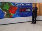 Casos de microcefalia ligados à zika crescem 7% na última semana 