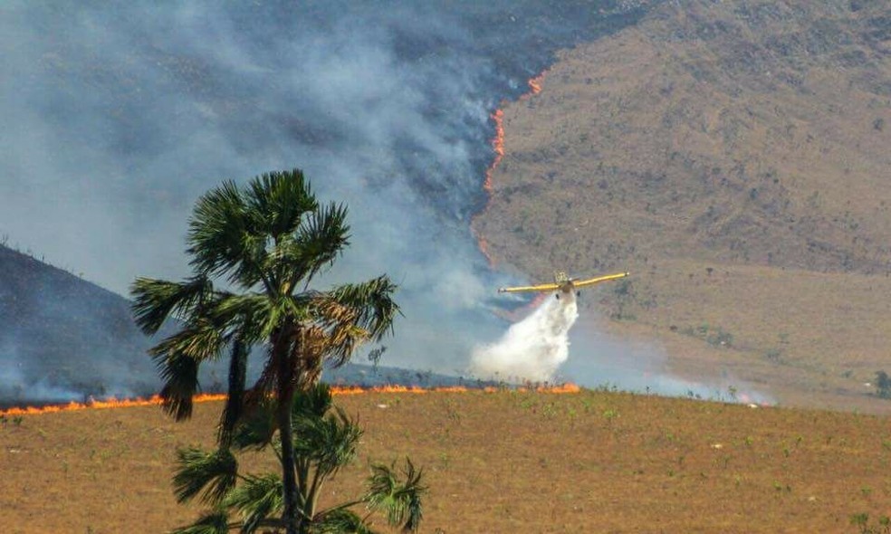 Avião tenta combater incêndio na Chapada dos Veadeiros  (Foto: Bruno Dias/Divulgação )