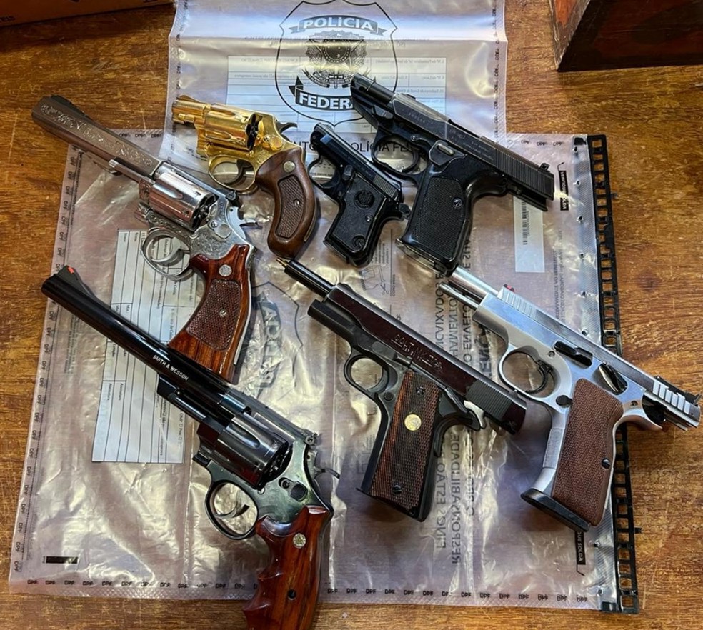 Armas apreendidas pela Operação Delivery — Foto: Polícia Federal/Divulgação
