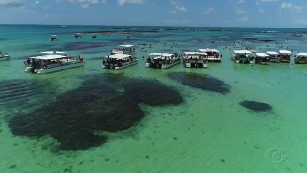Tj Al Autoriza Catamaras A Fazerem Passeio Das Piscinas Naturais De Maragogi Alagoas G1