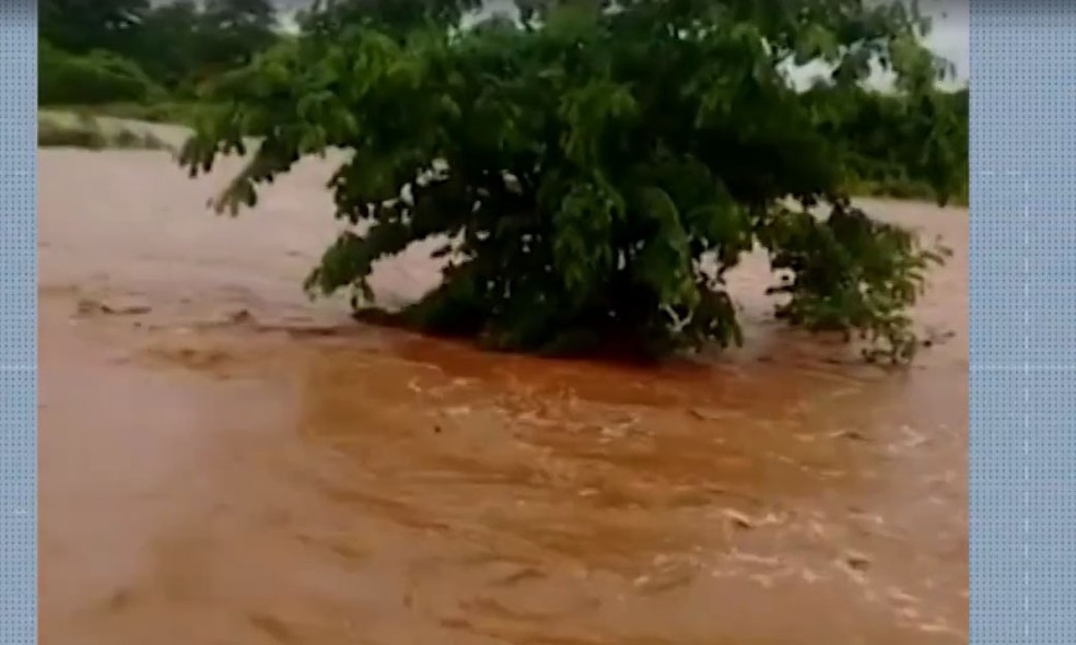 Rio transbordou em Cansanção durante chuvas.  — Foto: Reprodução / Redes Sociais