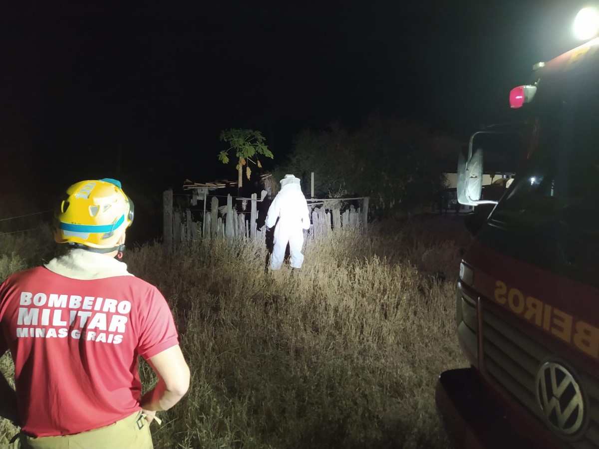 Sete pessoas de uma mesma família são atacadas por enxame de abelhas na zona rural de Francisco Sá