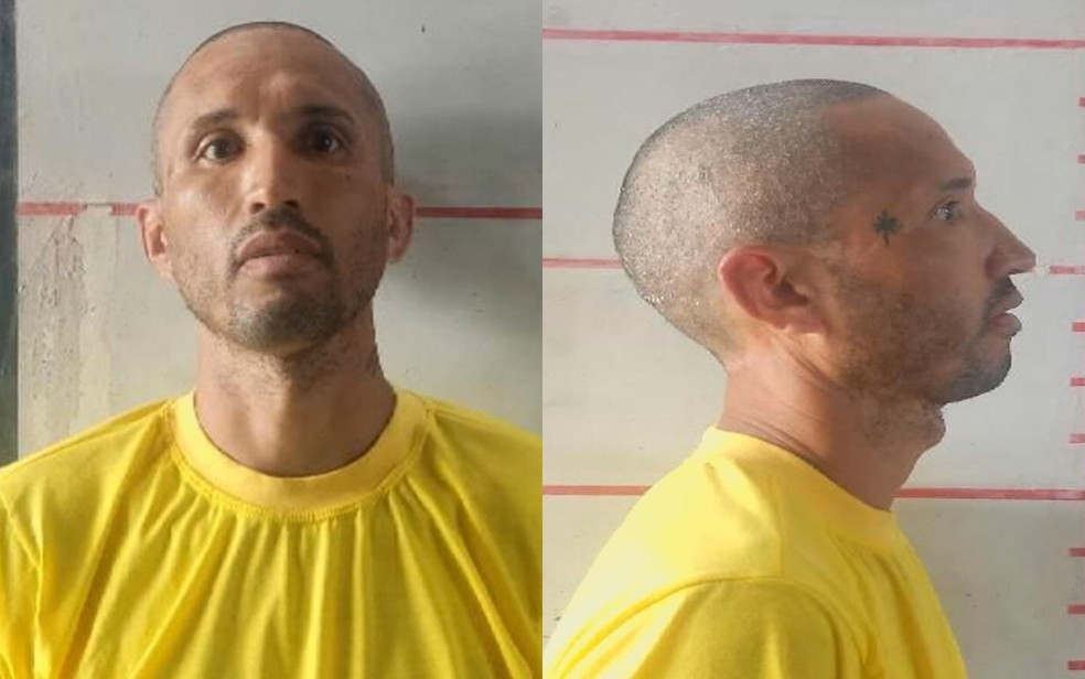 Homem é suspeito de matar idosa a facadas após tentativa de assalto, em Goiânia, Goiás — Foto: Reprodução/TV Anhanguera
