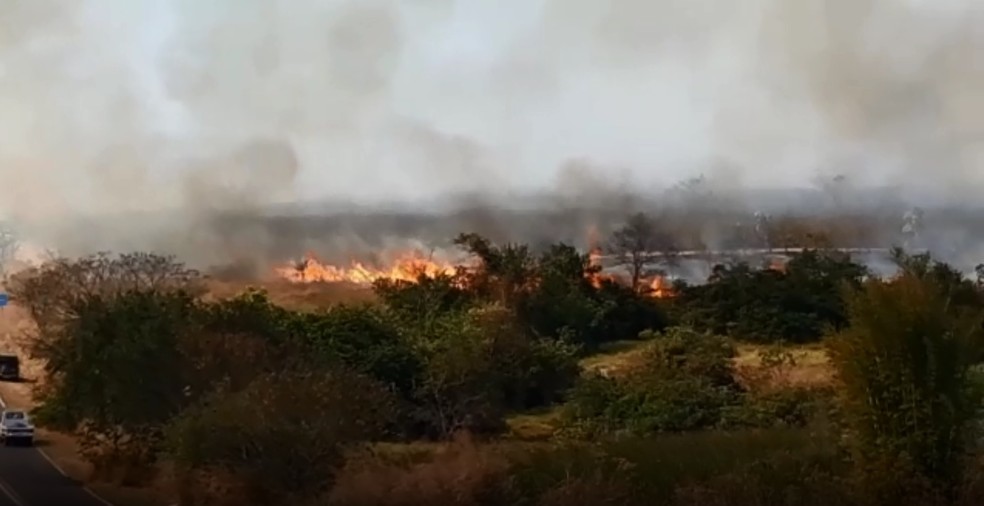 Queimada atinge canavial às margens de rodovia em Valparaíso — Foto: Arquivo Pessoal