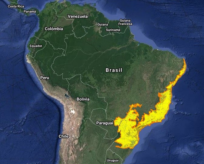 Área de desmatamento na Mata Atlântica até o ano de 2016, de acordo com o sistema Prodes (Foto: Terra Brasilis/INPE)