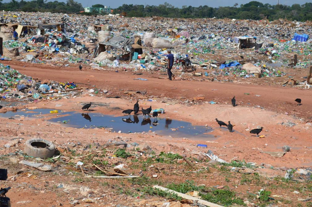 Lago de churume rodeado de urubus em Lixão de Porto Velho (Foto: Jheniffer Núbia / G1)