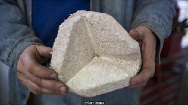 O micélio de fungos pode ser cultivado em resíduos agrícolas, como cascas de milho, para produzir um material de embalagem leve e biodegradável (Foto: GETTY IMAGES via BBC)
