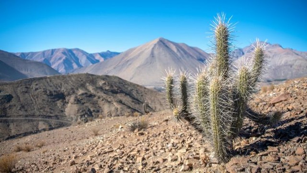 A vida no deserto do Atacama se desenvolve sob condições extremas — Foto: Getty Images via BBC
