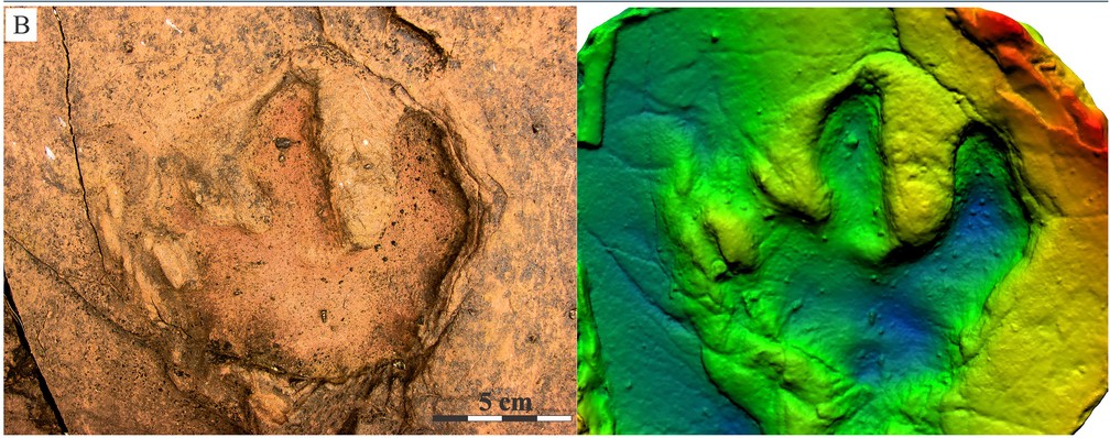 Pesquisadores brasileiros encontram pegadas de dinossauros em Mato Grosso do Sul — Foto: Rafael Costa da Silva/Divulgação