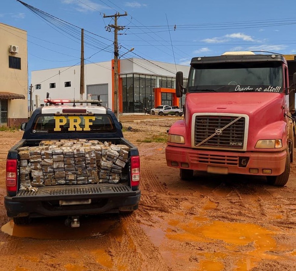 Drogas apreendidas em caminhão em MT — Foto: Polícia Rodoviária Federal (PRF)