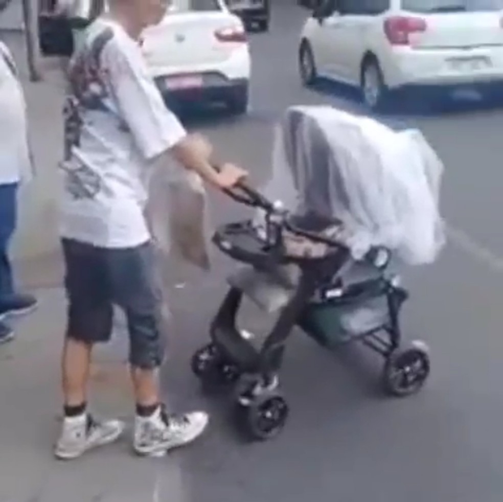 Mulher Que Anda Com Cobra Em Carrinho De Bebe Deixa Animal Passear Solto No Centro De Bh E Video Viraliza Minas Gerais G1