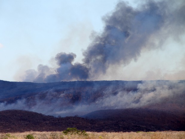 Incêndio atinge o município de Cordeiros, na divisa com Minas Gerais (Foto: Vanderlei Santos/Cordeiros em Foco)