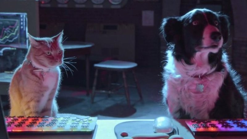 Como Cães e Gatos (Foto: Warner Bros)