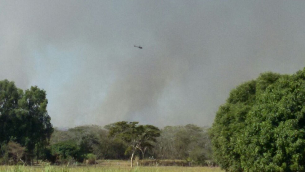 Incêndio atingiu reserva florestal em Presidente Epitácio (Foto: Djalma Weffort/Apoena)