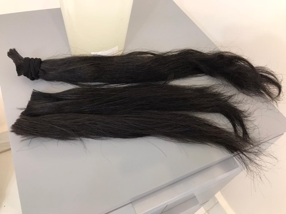 Cabelo cortado foi doado para instituição que faz perucas com mechas — Foto: Arquivo Pessoal