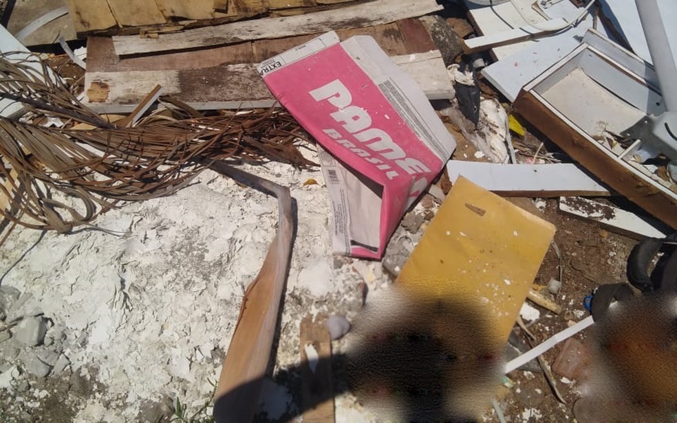 Crânios foram encontrados dentro de mochila em Jaboatão — Foto: Reprodução/WhatsApp