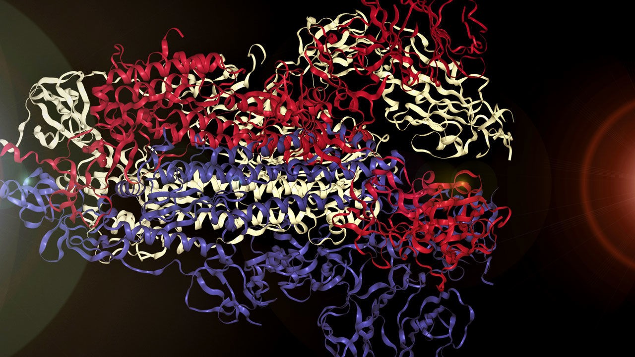 Cientistas do MIT transformam proteína do Sars-CoV-2; entenda (Foto: MARKUS J. BUEHLER)
