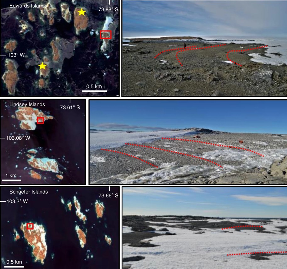 Os pesquisadores estudaram os remanescentes das antigas praias da Antártida, como conchas e ossos de pinguins através da datação por radiocarbono (Foto: Divulgação/ Nature Geoscience)