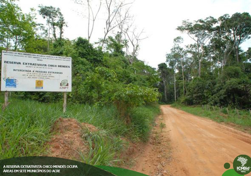 Resex Chico Mendes registrou 26 km² apenas em setembro deste ano — Foto: Arquivo/Resex