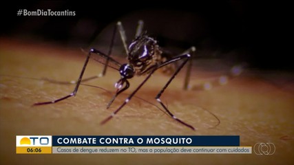 Apesar da queda nos casos de dengue no estado, população precisa ficar atenta