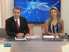 ES registra mais de 21 mil casos de dengue em 2016