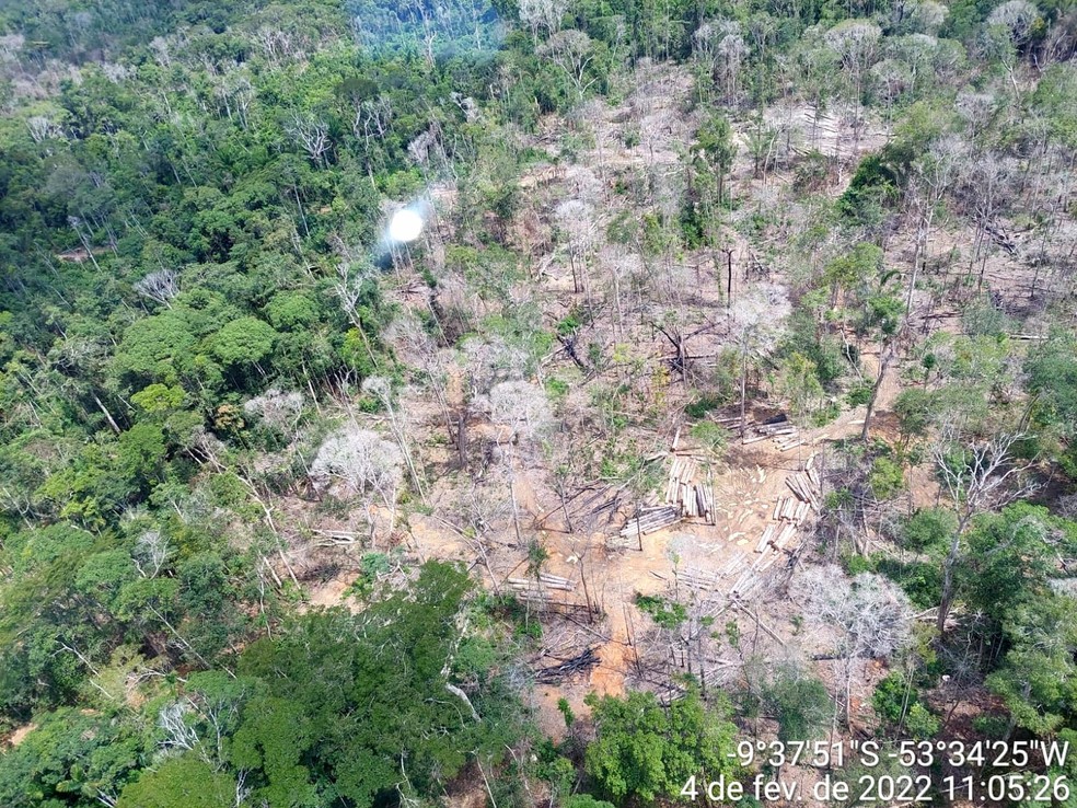 Área de terra indígena foi degradada por desmatamento ilegal em MT — Foto: Polícia Federal/MT