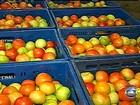 Preço do tomate dispara por baixa produtividade das lavouras em SP