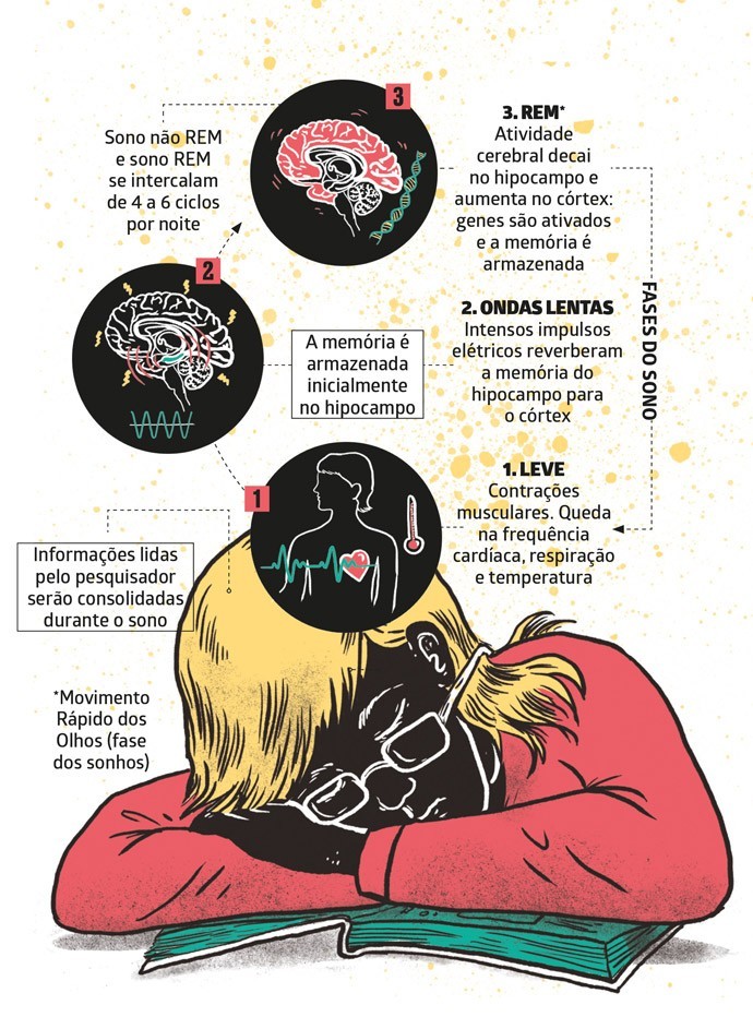Como o sono consolida as suas memórias - Revista Galileu | Ciência