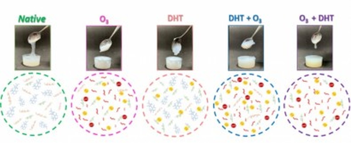 grupo usa ozonio e aquecimento a seco para melhorar as propriedades do amido de mandioca energia e ciencia um so planeta