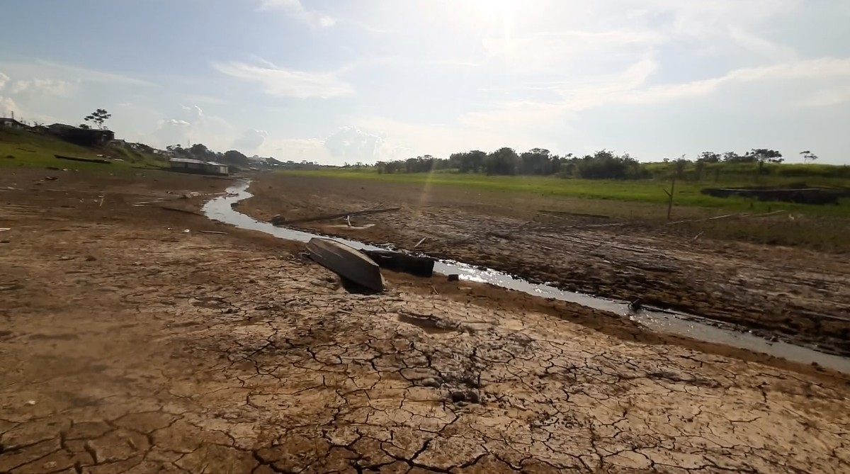 Seca coloca 34 cidades em alerta no AM; munic&iacute;pios decretam emerg&ecirc;ncia |  Amazonas | G1