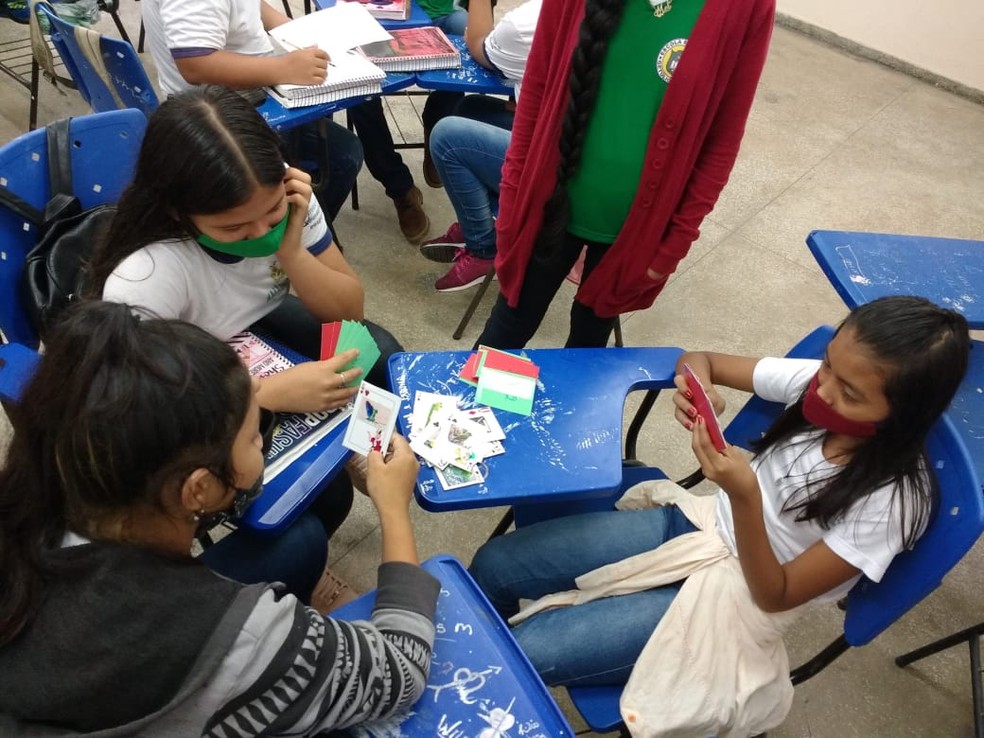 Projeto foi desenvolvido por estudantes de Tefé, no interior do Amazonas. — Foto: Divulgação