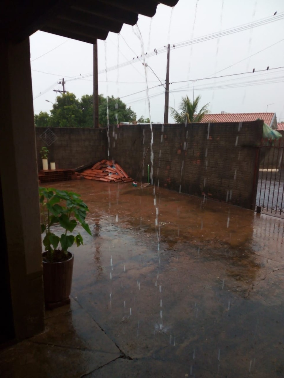 Chuva em Tarabai — Foto: Ricardo Joerke/Cedida
