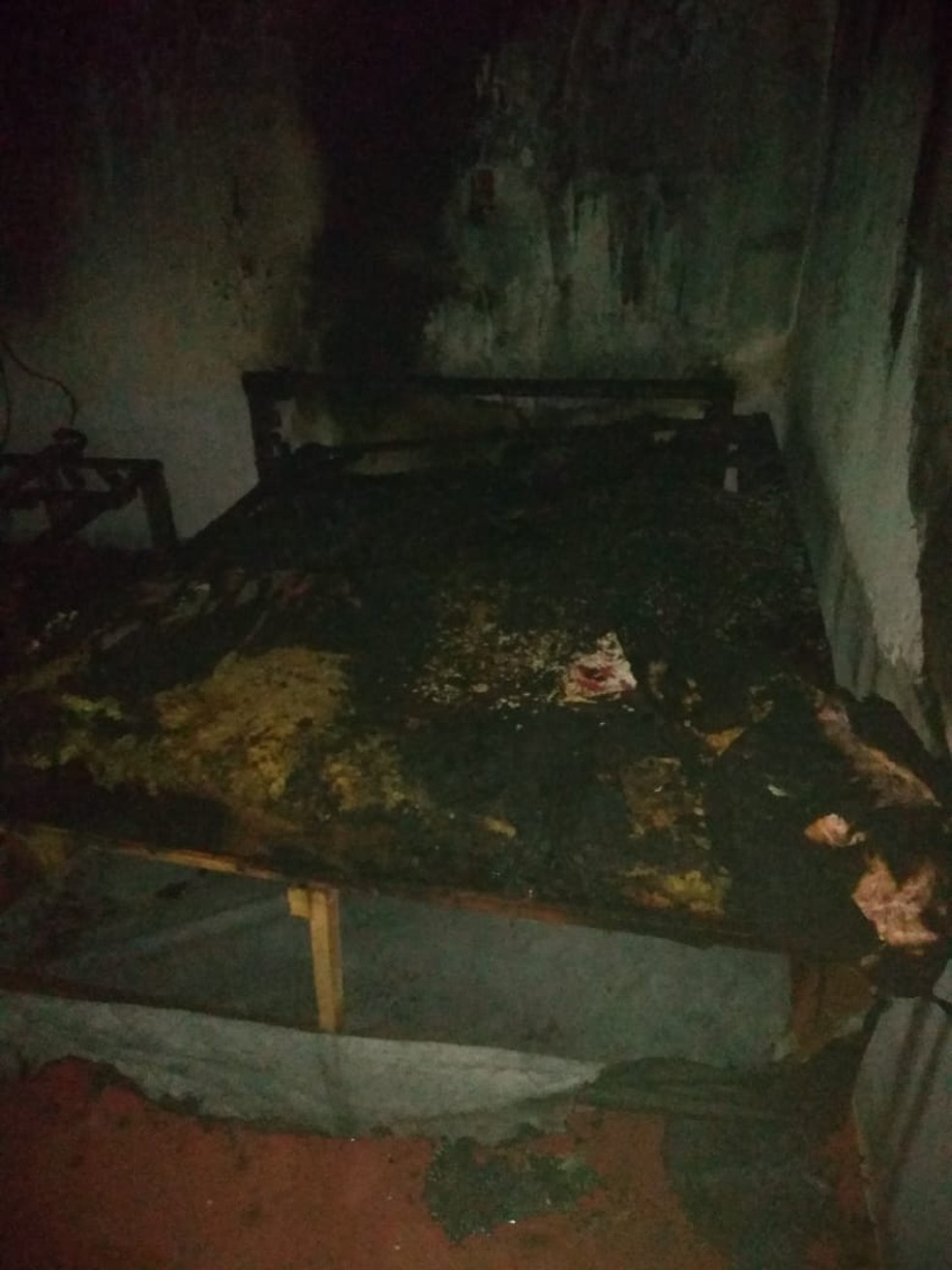 Casa foi destruída pelo fogo — Foto: Polícia Civil