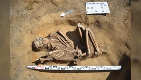 Esqueleto de 7 mil anos é encontrado em posição fetal na Polônia