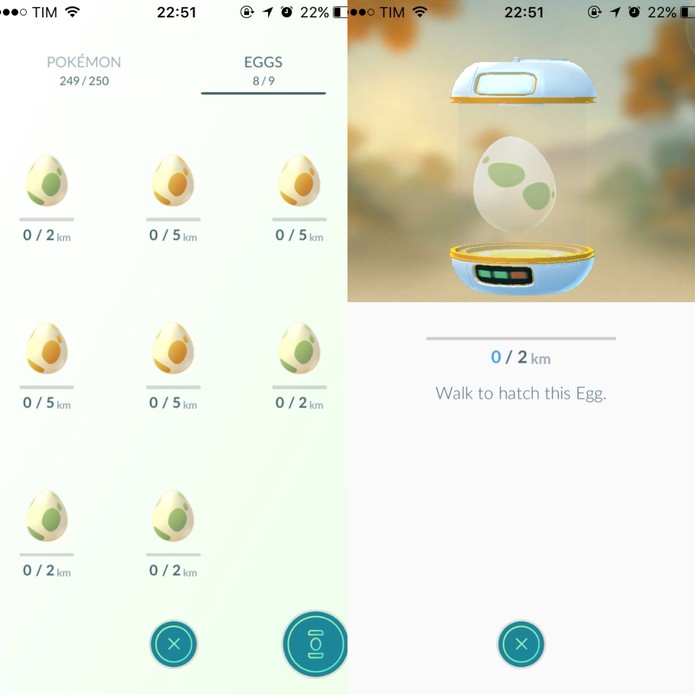 Ovos recebem nova dinâmica de cores em Pokémon Go (Foto: Reprodução/Felipe Vinha)