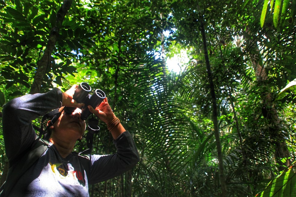 Ecoturismo na região Norte do Brasil — Foto: Divulgação