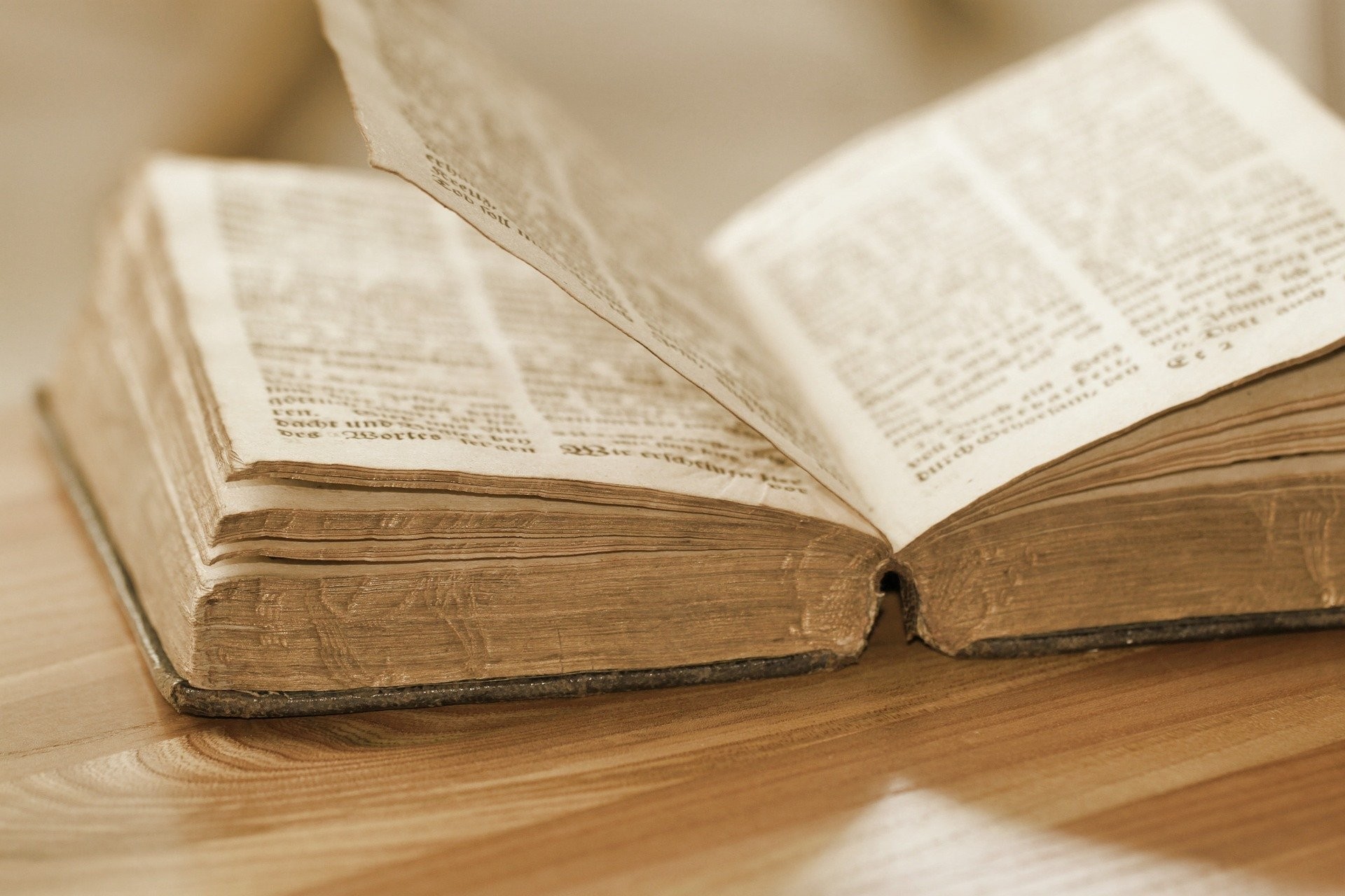 Pesquisadores brasileiros estudam veracidade de fatos da Bíblia (Foto: cocoparisienne/Pixabay)