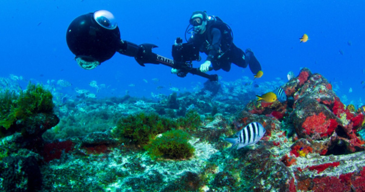 Natureza - Google mapeia mundo subaquático em Fernando de Noronha