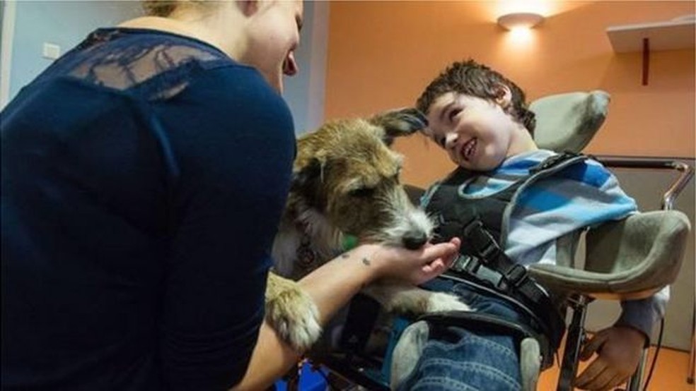 Terapia assistida por cães é usada em muitos países, como nesta imagem na França — Foto: Getty Images via BBC