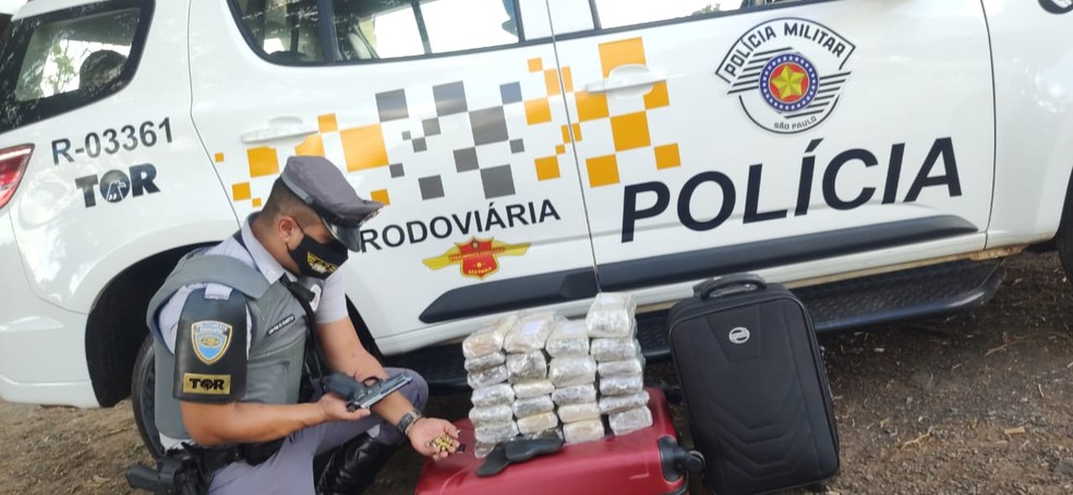 Polícia Rodoviária encontrou 24 tabletes de maconha com passageiro de ônibus em Jales (SP) — Foto: Divulgação/Polícia Rodoviária