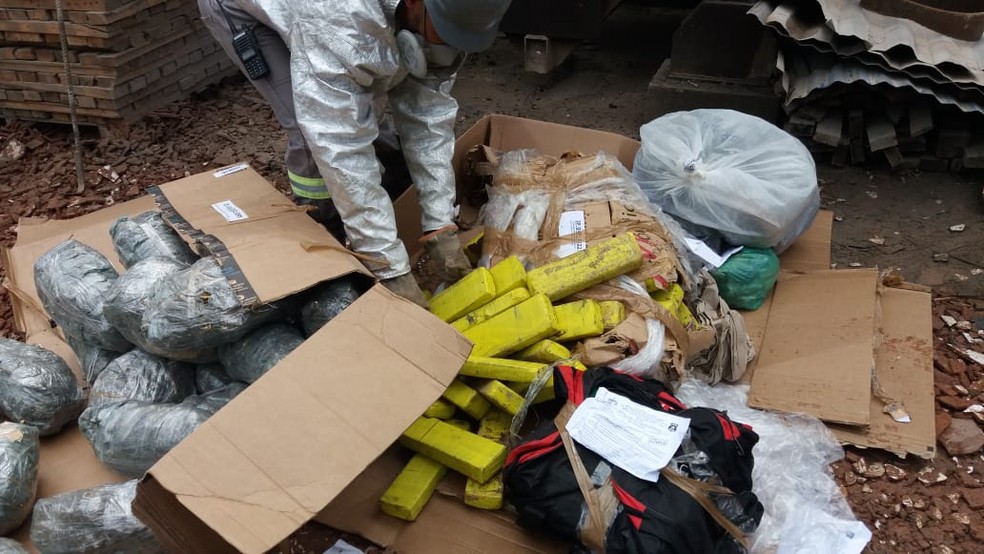 Quase meia tonelada de drogas foi apreendida durante operações — Foto: Ascom/PC-AL