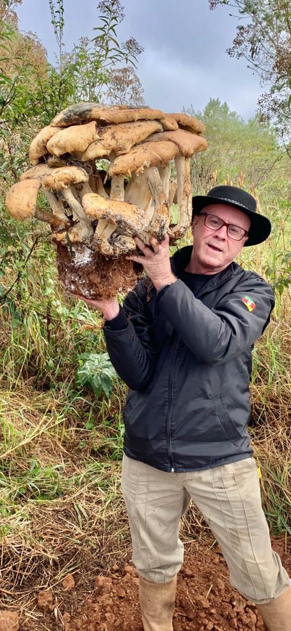 Dono da chácara segura cogumelo gigante — Foto: Evandro Nicola/Arquivo Pessoal