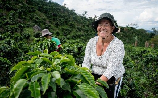 Mulheres: saber e protagonismo na agroind&uacute;stria familiar artesanal -  Revista Globo Rural | Vozes do Agro