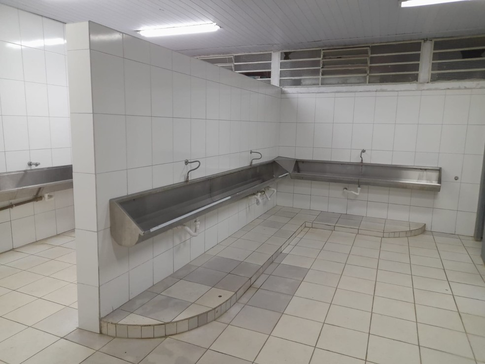 A nova casa do Santos como é assistir a um jogo no Canindé Portal